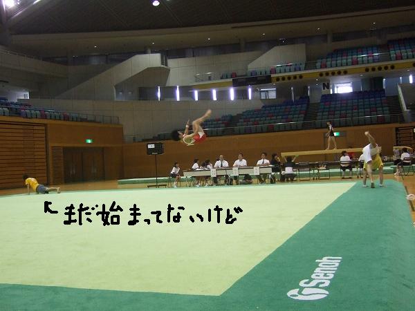2008kankoshina14.jpg